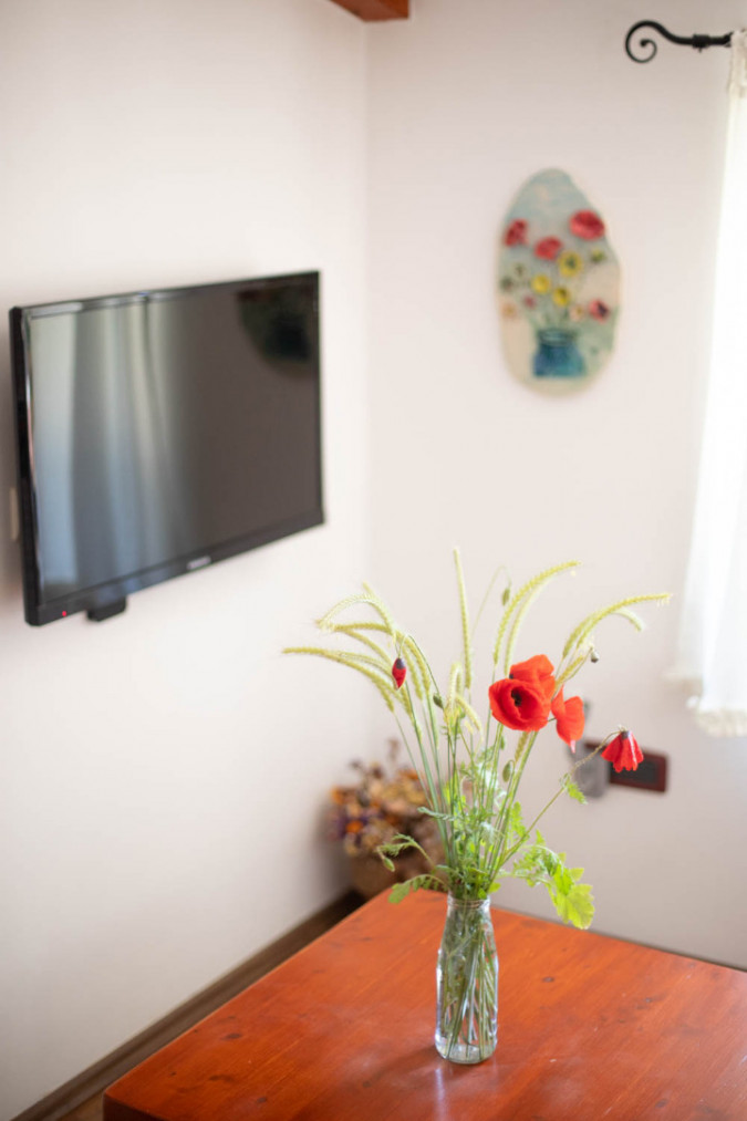 Apartments and Holiday House Rabota in Pula, Istria - Croatia Pula