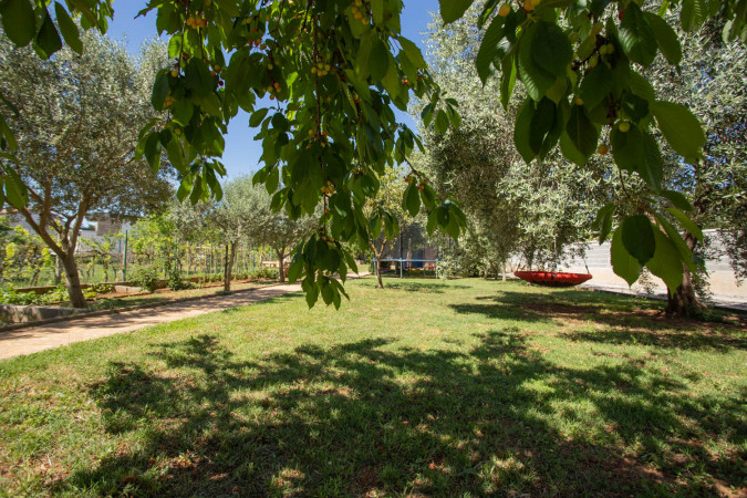 Apartments and Holiday House Rabota in Pula, Istria - Croatia Pula