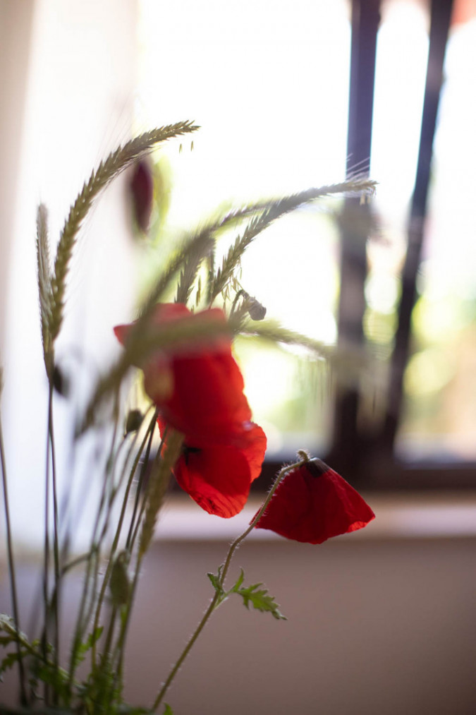 Apartments and Holiday House Rabota in Pula, Istria - Croatia Pula